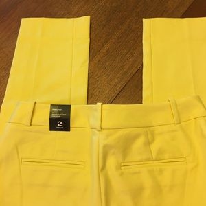 Limited Yellow Pencil Pant